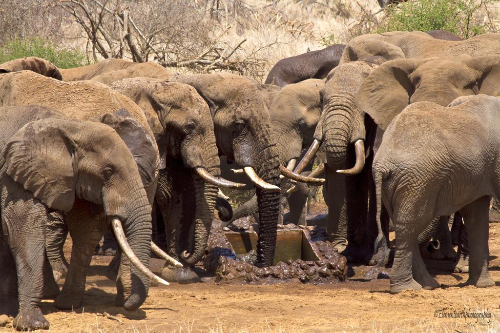 Elerai Camp Amboseli Exterior photo