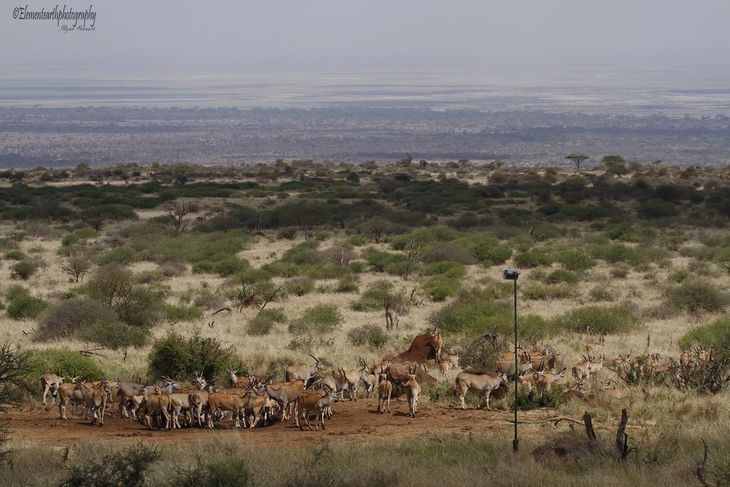 Elerai Camp Amboseli Exterior photo