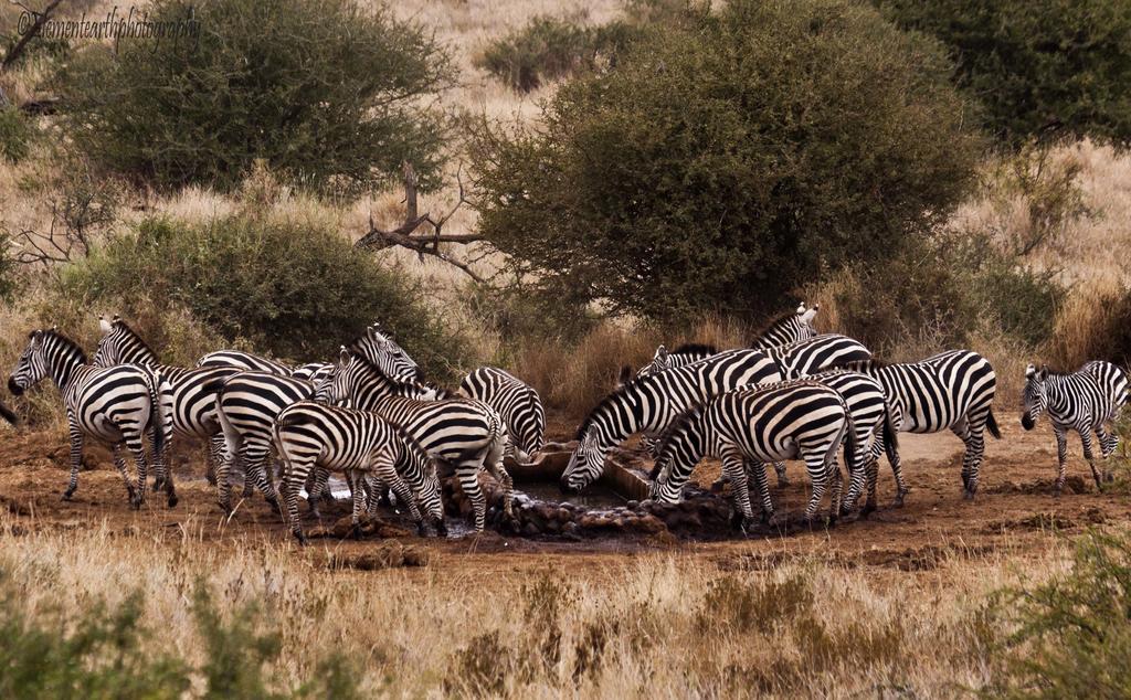 Elerai Camp Amboseli Exterior photo