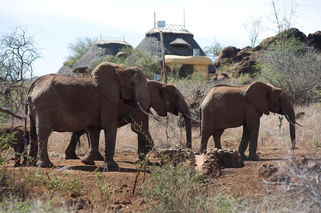 Elerai Camp Amboseli Room photo
