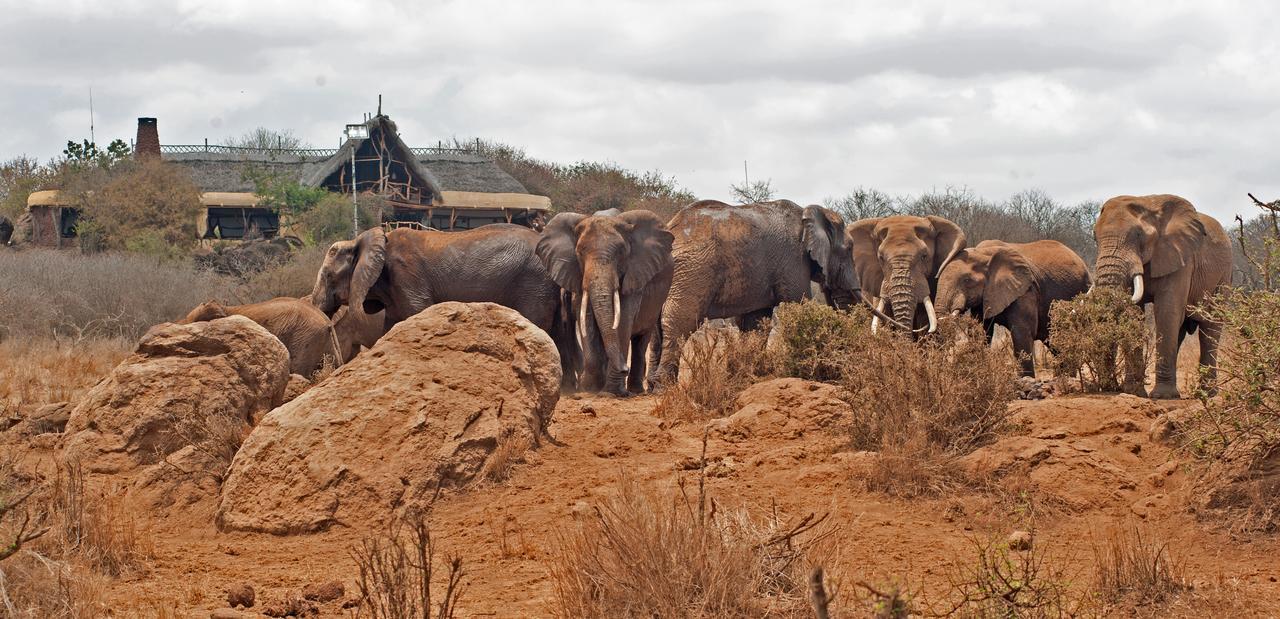 Elerai Camp Amboseli Exterior photo